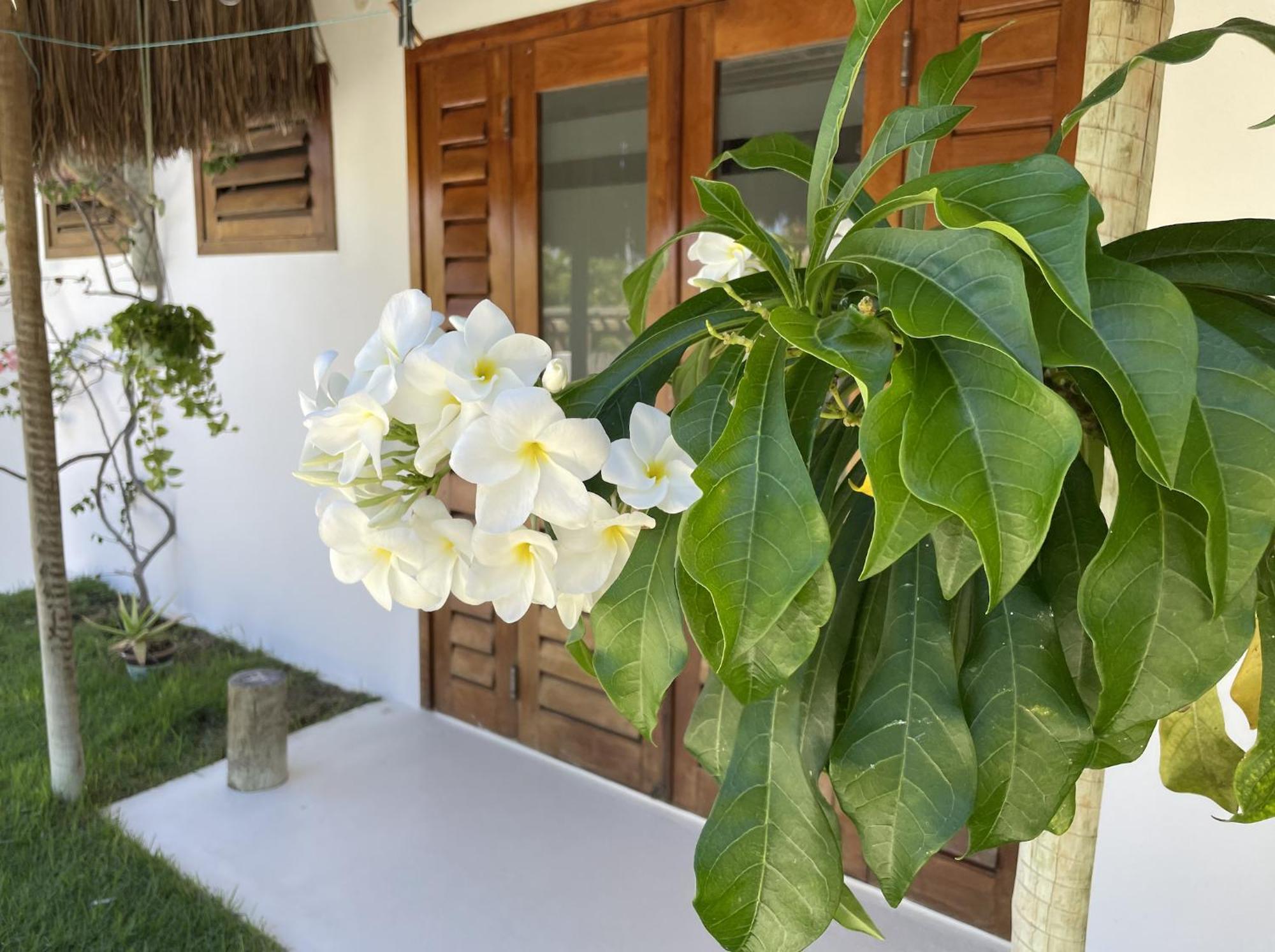 Villa Caribou Icaraí Exterior foto